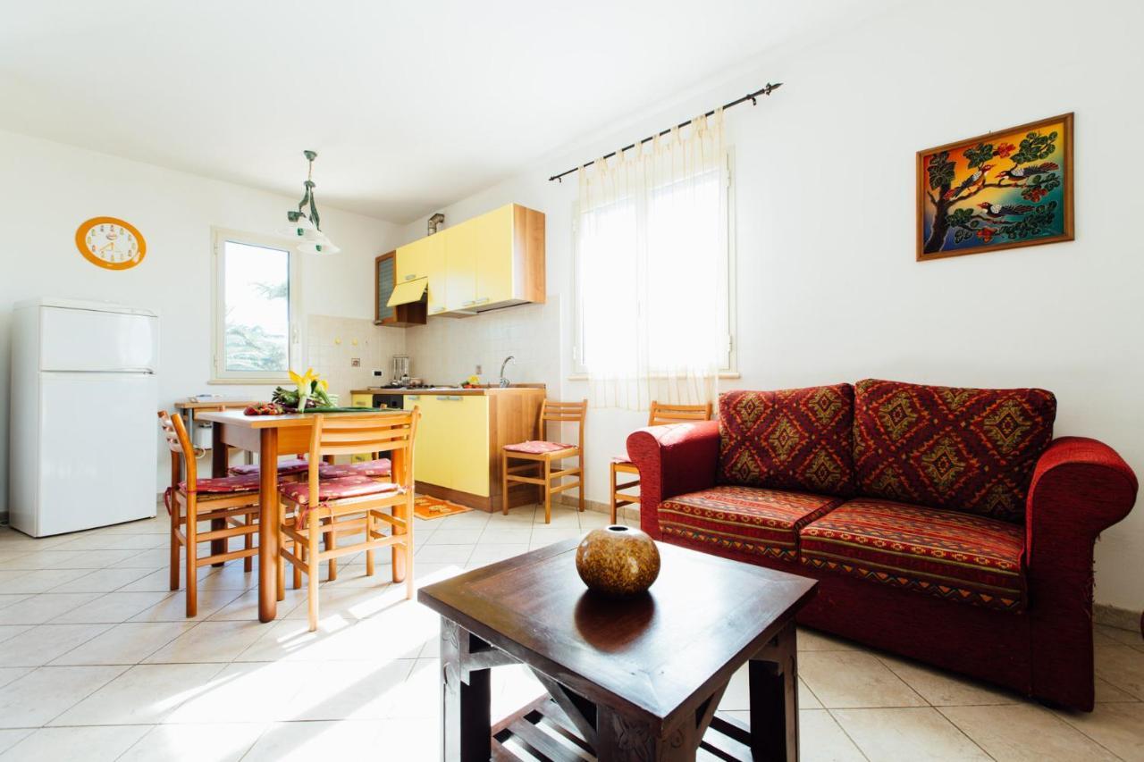Agriturismo Il Querciolo 格罗塞托 外观 照片
