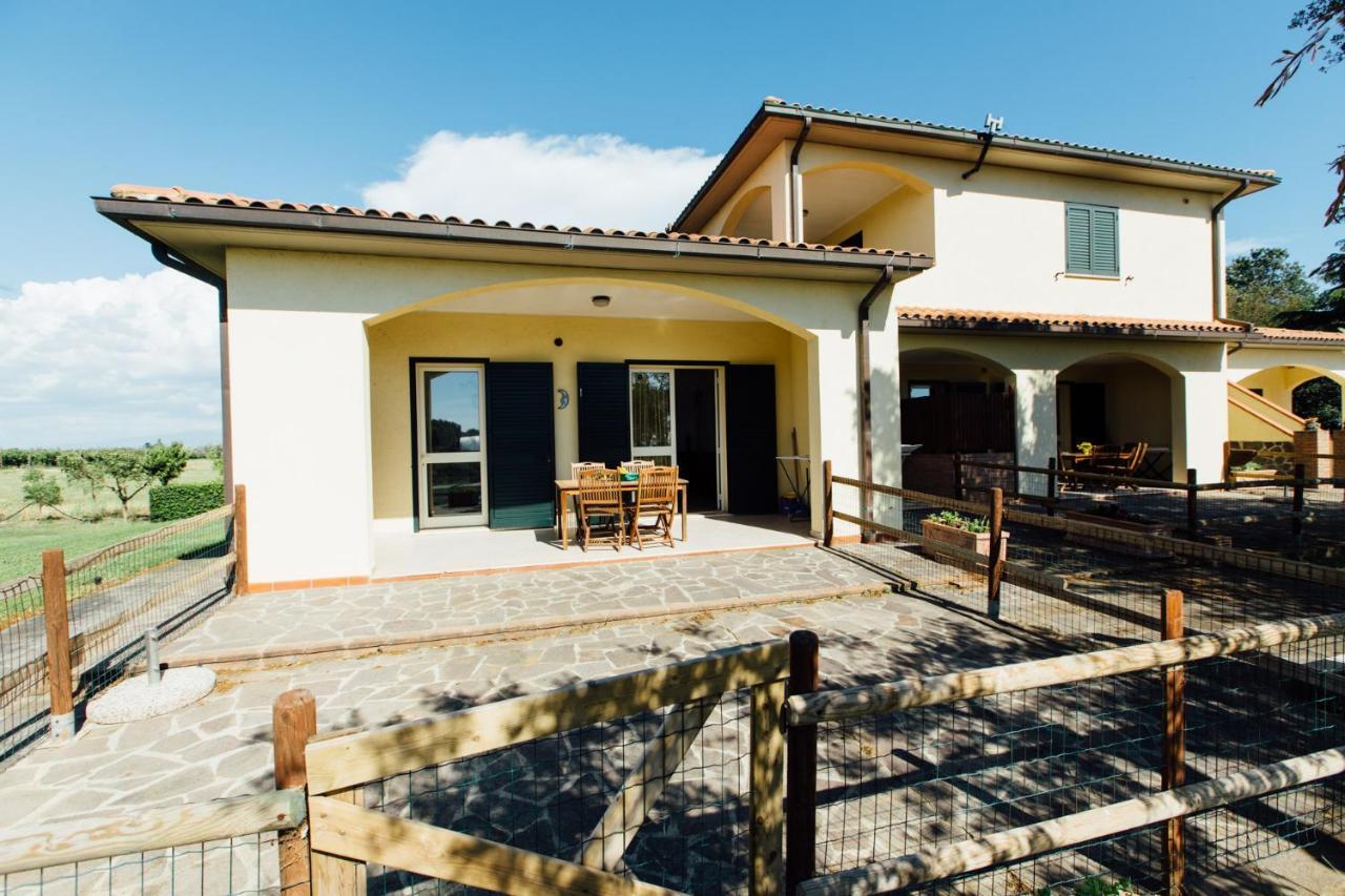 Agriturismo Il Querciolo 格罗塞托 外观 照片