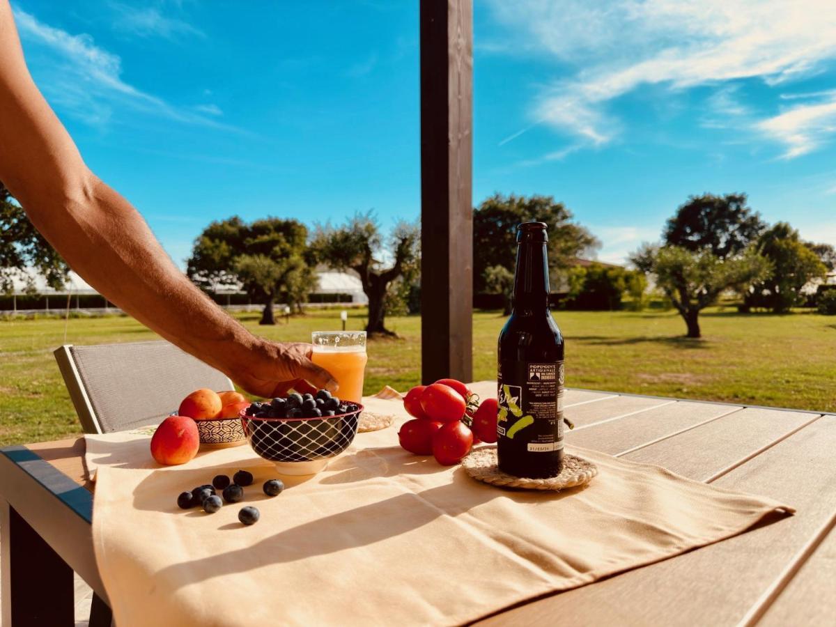 Agriturismo Il Querciolo 格罗塞托 外观 照片